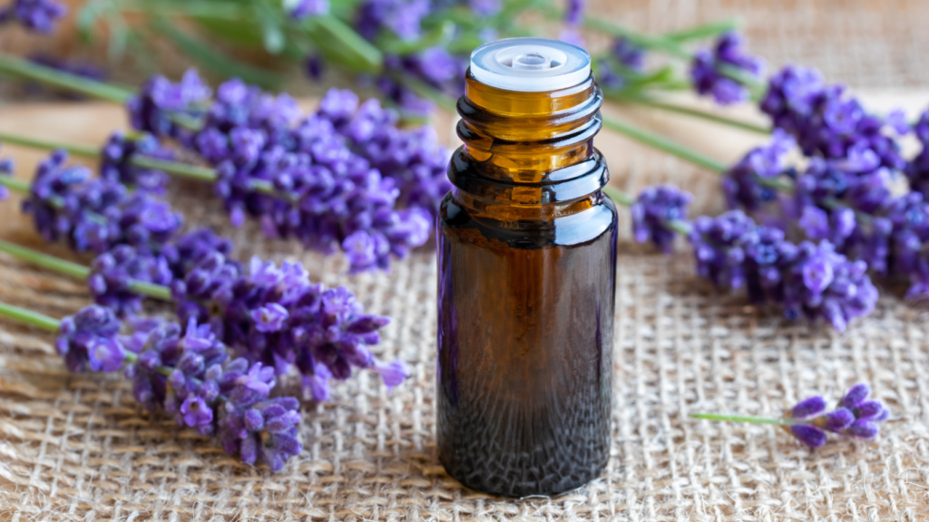 how-to-use-essential-oils-on-a-daily-basis