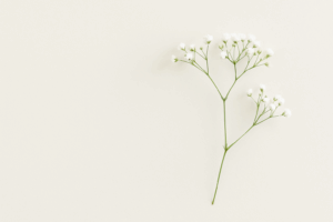 hiring a virtual assistant for small business